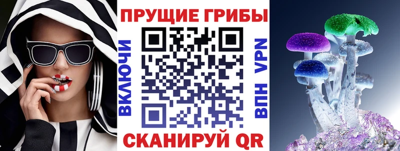 Галлюциногенные грибы мицелий  где купить наркоту  Медынь 